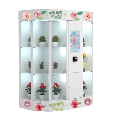 Casier de distributeur automatique de fleur de 19 pouces avec le système de refroidissement 50HZ