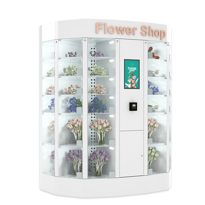 Fleur viable vendant le revêtement de poudre de la solution 240V de machine de casier