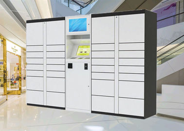 Boîte de livraison de colis de casiers intelligents de Digital pour l&amp;#39;usage de personnel, garantie d&amp;#39;un an