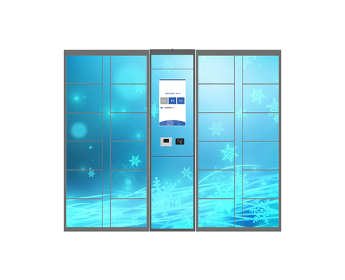 Système de contrôle de Smart de casier de la livraison de colis de Winnsen avec le scanner de Code QR